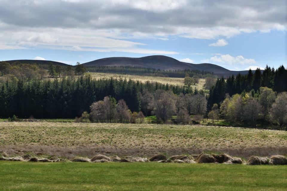 Knocklea Villa Alness Kültér fotó